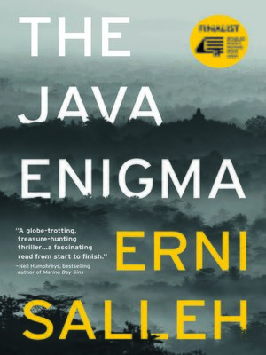 cover image of The Java Enigma